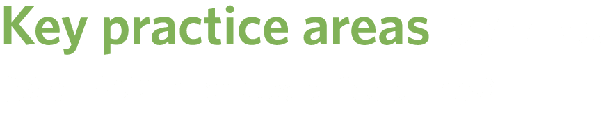 Key practice areas by size (% of FY22 integrated office billings)