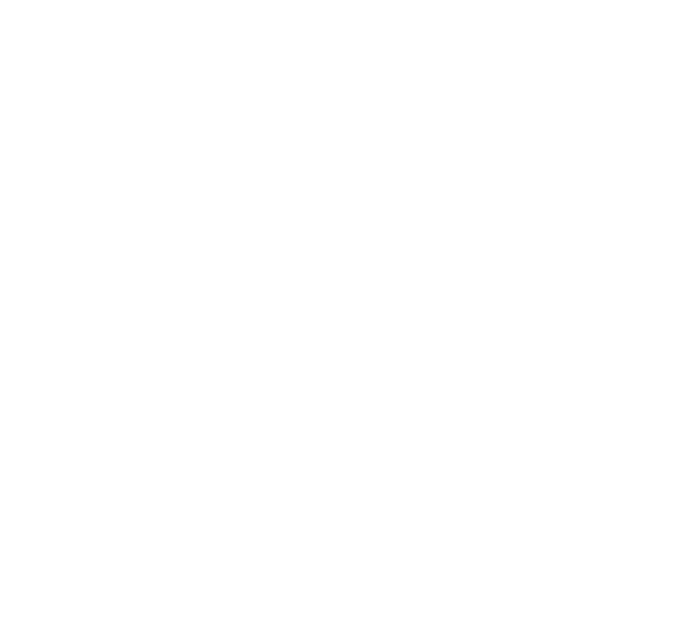 Established in 2017 as an inclusive action group, the network is focused on education and increasing opportunities in...