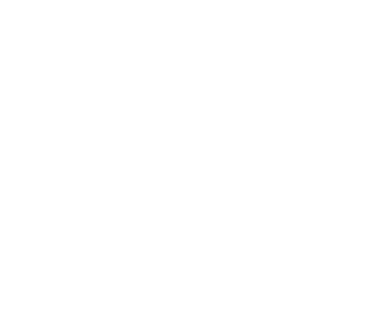 the network 