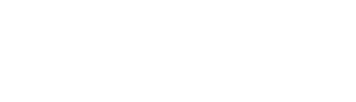 La Cime: Removing the learning barriers for young disabled people through accessible learning courses. Spinnaker: Enr...