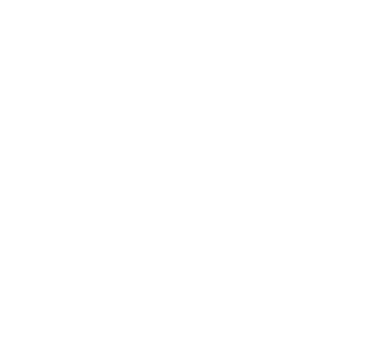 We have raised over €4,000 for ARC Cancer Support Centres