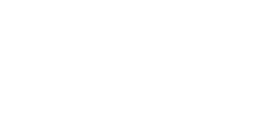 Ethnic, gender & social diversity