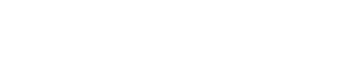 Supervisory Board
