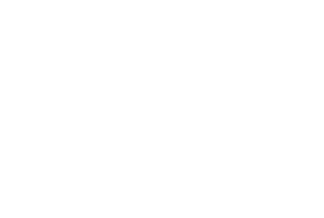 Stijn Debaene Partner, IP
