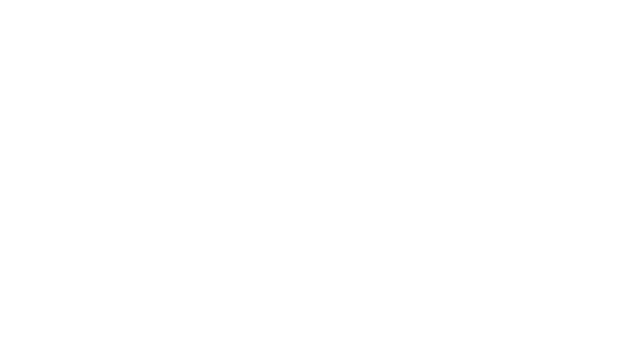 Nigel Lang Chief Information Officer