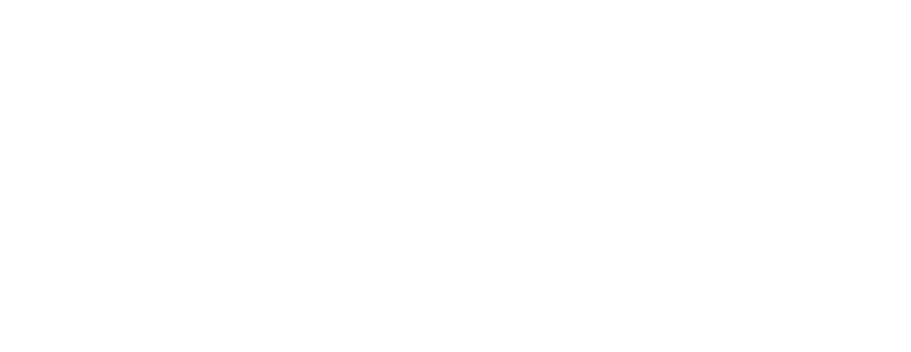 Our travel policy incentivises German staff to travel by train rather than fly. As a result: