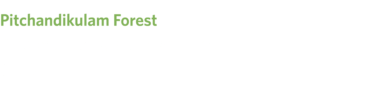 Pitchandikulam Forest Barefoot Ecologists Programme (India)