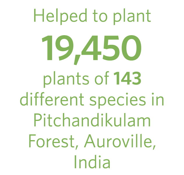 Helped to plant 19,450 plants of 143 different species in Pitchandikulam Forest, Auroville, India
