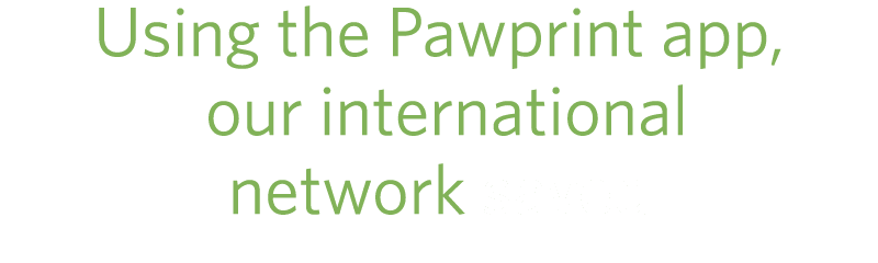 Using the Pawprint app, our international network saved 