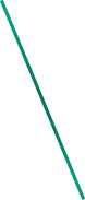 Oval